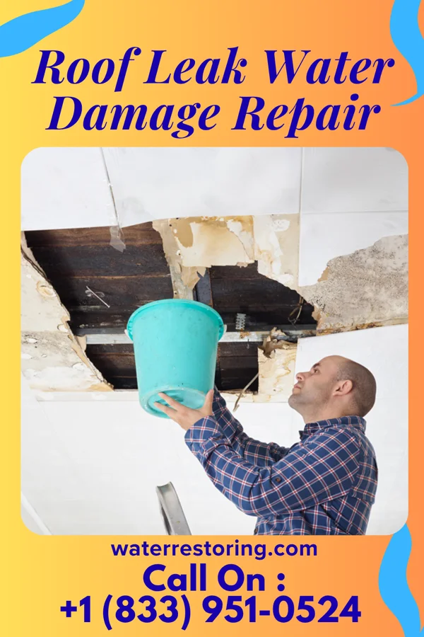 Roof Leak Water Damage Repair in Port Barre, LA
