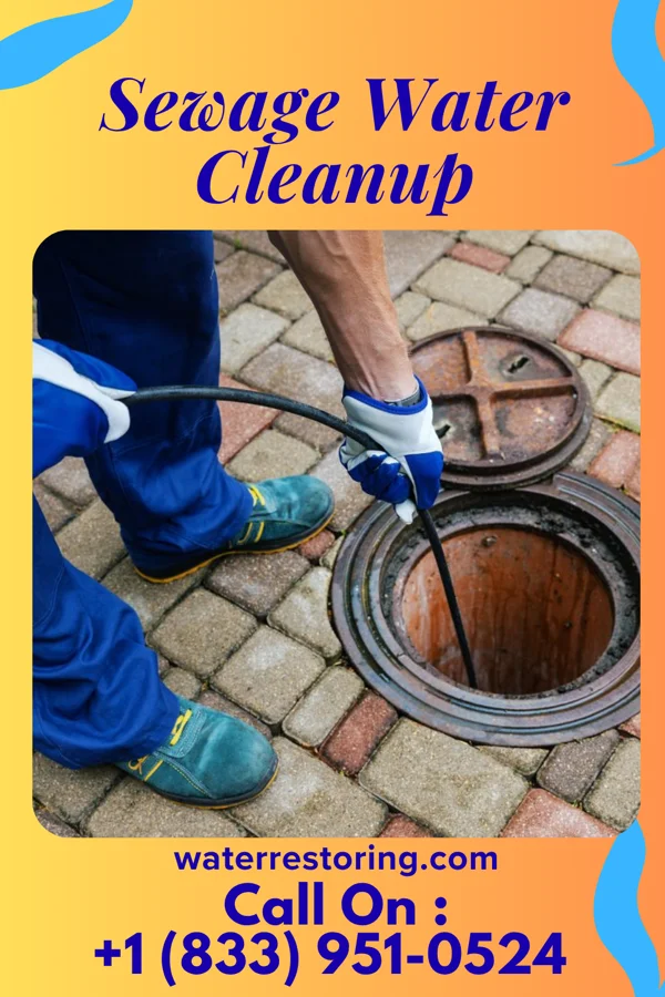 Sewage Water Cleanup in Port Barre, LA